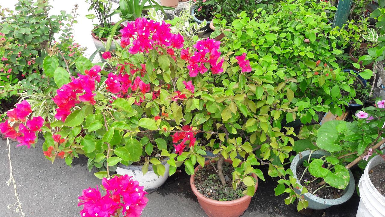 Hai Xia Your Home Fulong Exterior foto